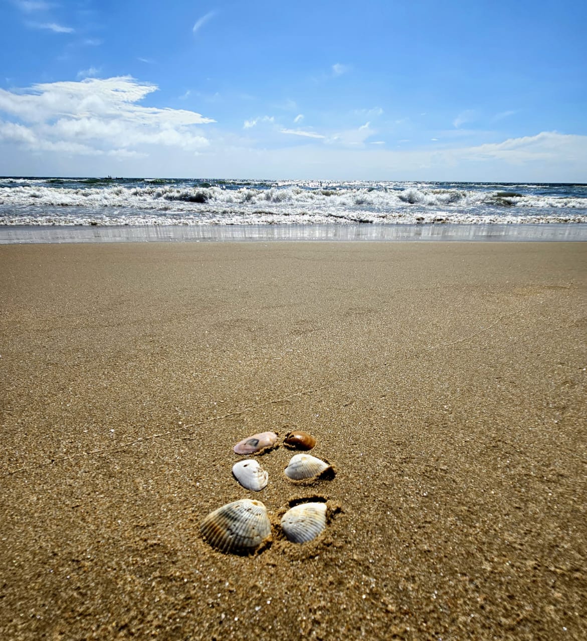 ಪುದಚೇರಿ ಸಮುದ್ರ ತೀರ