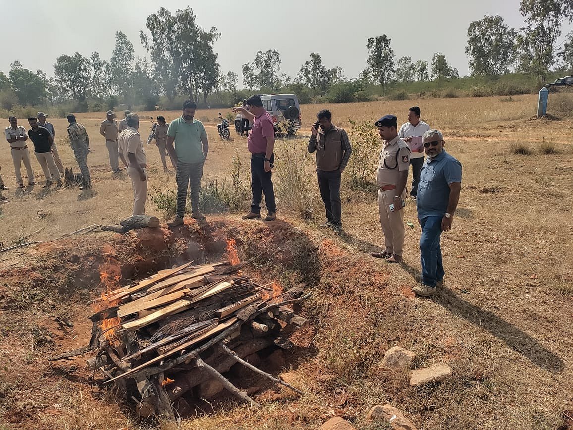 ಚಿಕ್ಕಮಗಳೂರು | ಕೃಷ್ಣಮೃಗ ಸಾವು: ತನಿಖೆ ಚುರುಕು