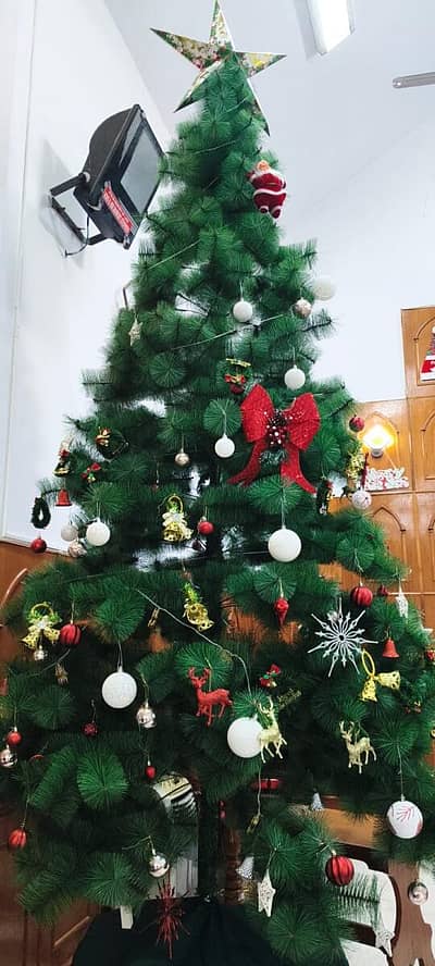 ಅಲಂಕೃತ ಕ್ರಿಸ್‌ಮಸ್‌ ಟ್ರೀ 