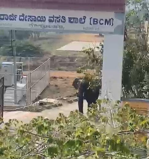 ಕನಕಪುರ: ಡಿಸಿಎಂ ಊರಲ್ಲಿ ಶಾಲಾ ಆವರಣಕ್ಕೆ ನುಗ್ಗಿದ ಕಾಡಾನೆ