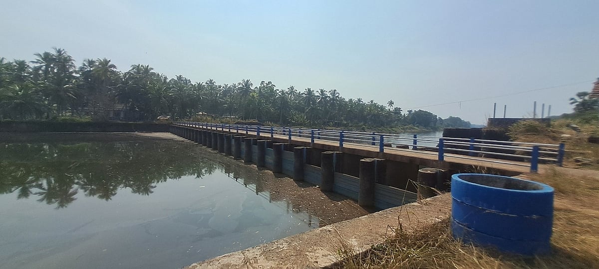 ಬ್ರಹ್ಮಾವರ: ಕುಸಿದ ನೀರಿನ ಮಟ್ಟ; ಕೃಷಿಕ ಕಂಗಾಲು 
