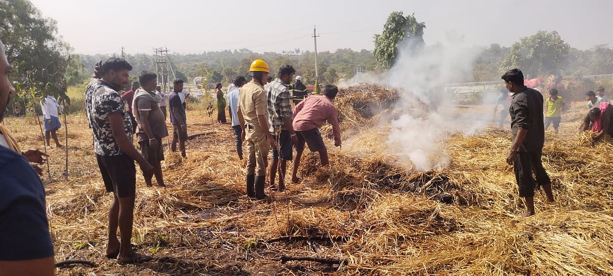 ರಾಮನಗರ: ರಾಗಿ ಮೆದೆಗೆ ಬೆಂಕಿ ಇಟ್ಟ ಕಿಡಿಗೇಡಿಗಳು
