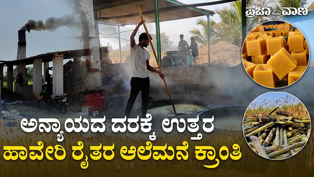 ವಿಡಿಯೊ | ಹಾವೇರಿಯಲ್ಲಿ ಕಾರ್ಖಾನೆಗಳಿಗೆ ಸೆಡ್ಡು: ಆಲೆಮನೆಯೇ ರೈತರ ಲಾಭದ ಹಾದಿ