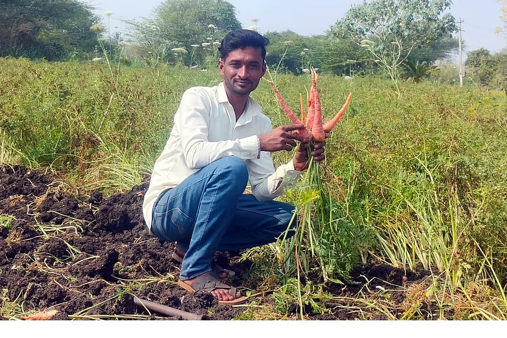 ರಬಕವಿ ಬನಹಟ್ಟಿ: ಕಡಿಮೆ ಖರ್ಚಿನಲ್ಲಿ ಹೆಚ್ಚಿನ ಆದಾಯ ಕೊಡುವ ಗಜ್ಜರಿ