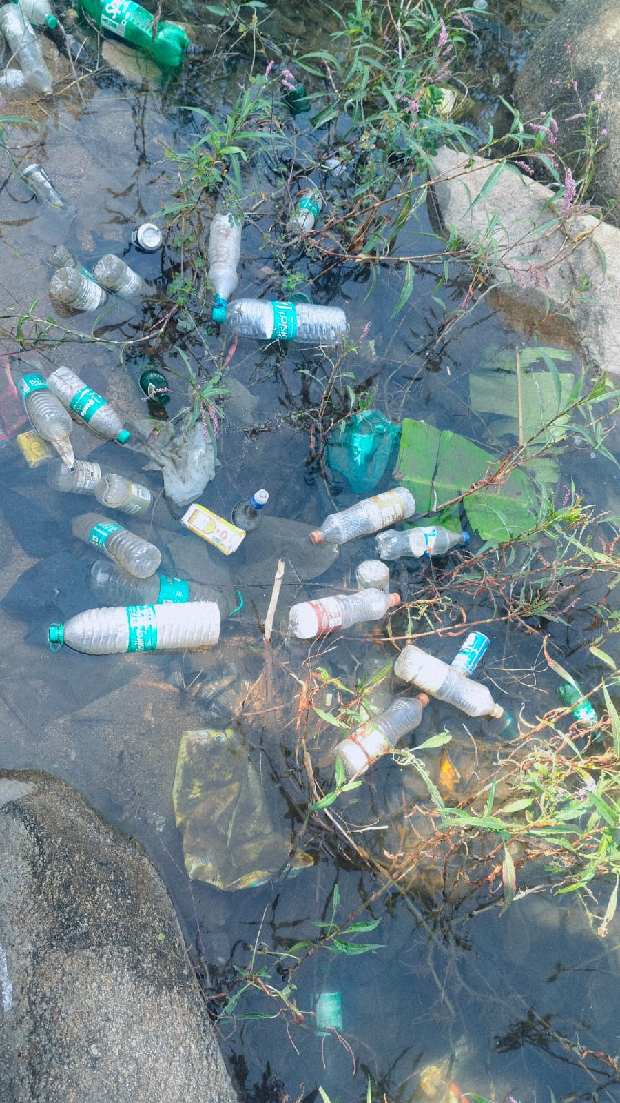 ಗೌರಿಬಿದನೂರು ತಾಲ್ಲೂಕಿನ ವಾಟದಹೊಸಹಳ್ಳಿ ಕೆರೆಕಟ್ಟೆ ಮೇಲೆ ಬಿಸಡಲಾಗಿರುವ ಮದ್ಯದ ಖಾಲಿ ಬಾಟಲಿಗಳು