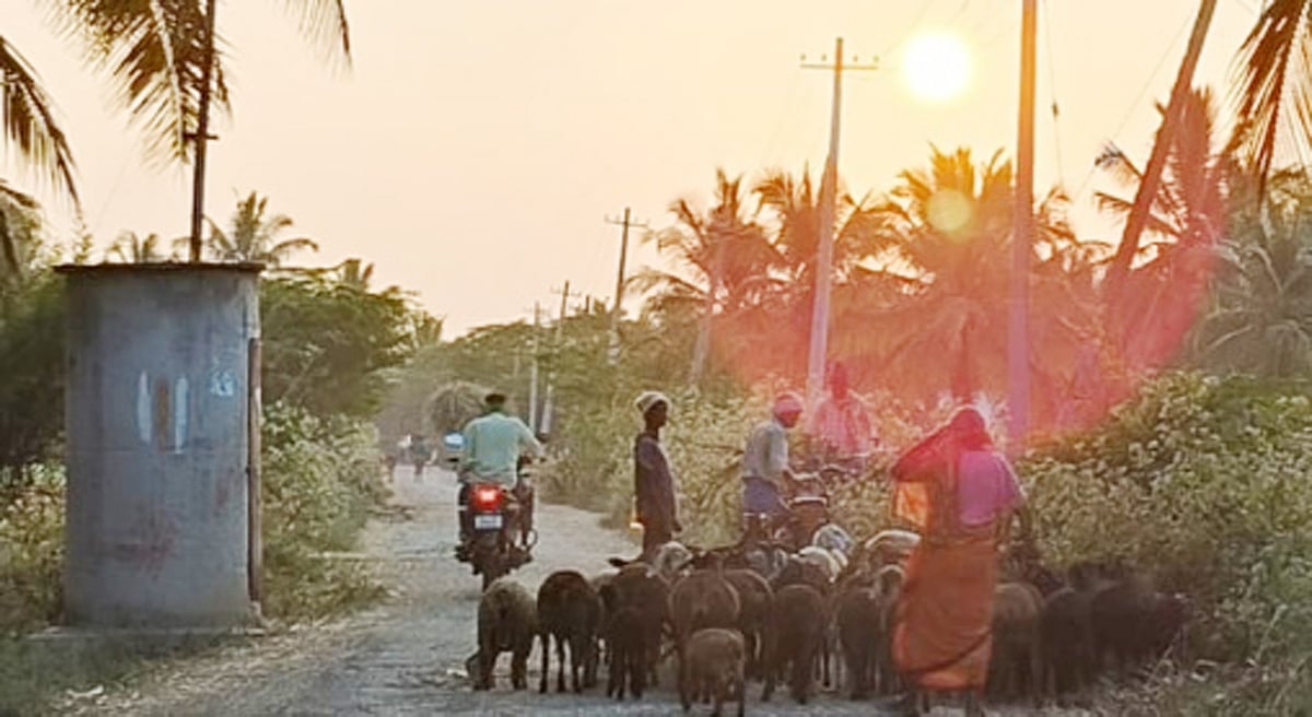 ಥಂಡಿ ವಾತಾವರಣಕ್ಕೆ ಥರಗುಟ್ಟುತ್ತಿರುವ ಜನರು