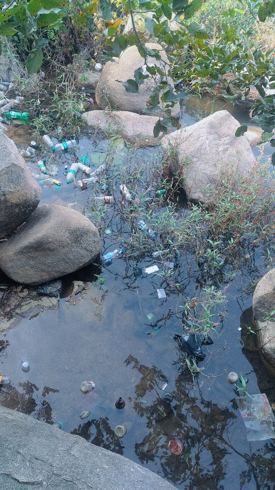 ಗೌರಿಬಿದನೂರು: ಕುಡುಕರ ಅಡ್ಡೆಯಾದ ವಾಟದಹೊಸಹಳ್ಳಿ ಕೆರೆ