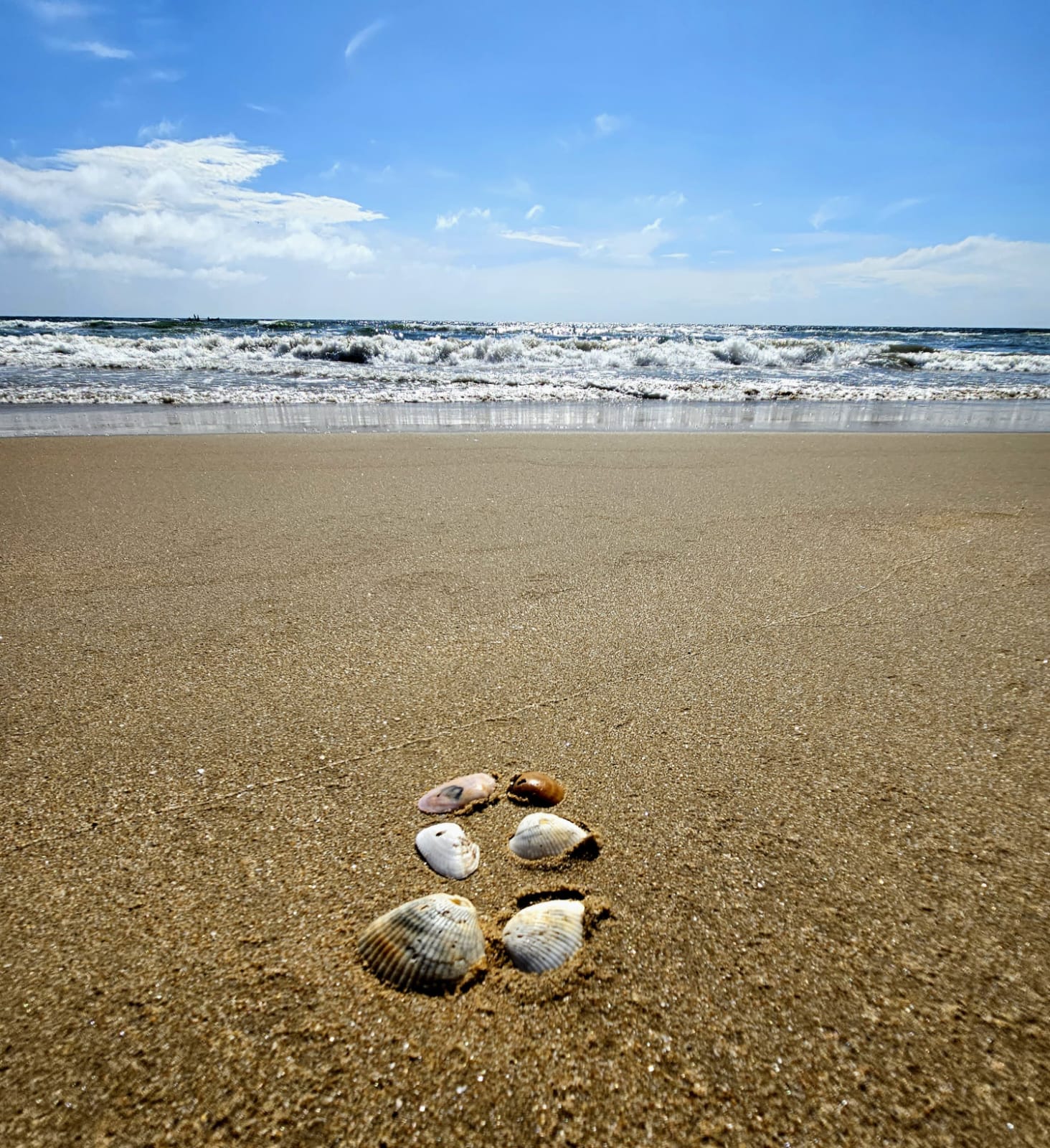 ಸಮುದ್ರ ತೀರ