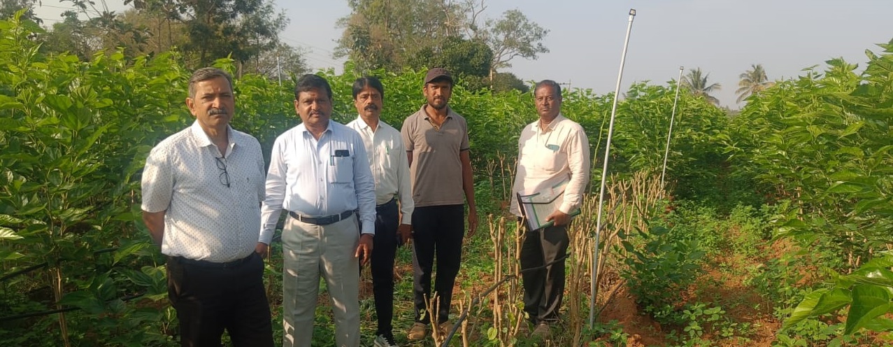 ರೇಷ್ಮೆ ಇಲಾಖೆ ಅಧಿಕಾರಿಗಳು ಭೇಟಿ ನೀಡಿ ಪರಿಶೀಲಿಸಿದರು