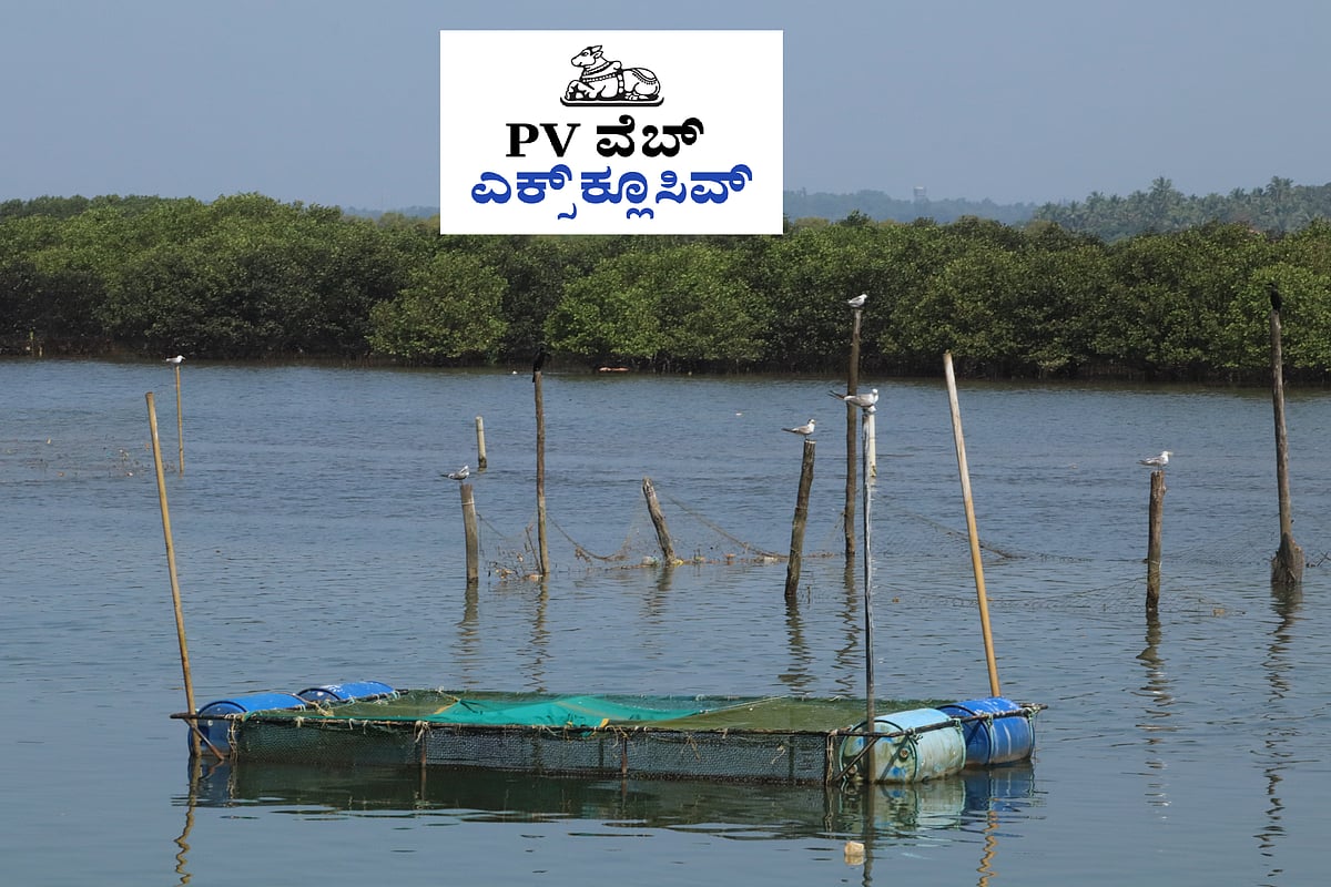 WEB EXCLUSIVE | ಉಡುಪಿ: ಪಂಚಗಂಗಾವಳಿ ಎಂಬ ಜೀವ ವೈವಿಧ್ಯದ ನೆಲೆ