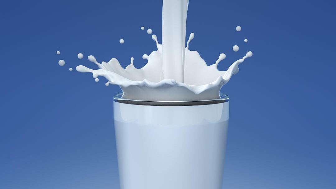 ದೇಹಕ್ಕೆ ಪೌಷ್ಟಿಕಾಂಶ ಒದಗಿಸುವ ಆಹಾರಗಳಿವು