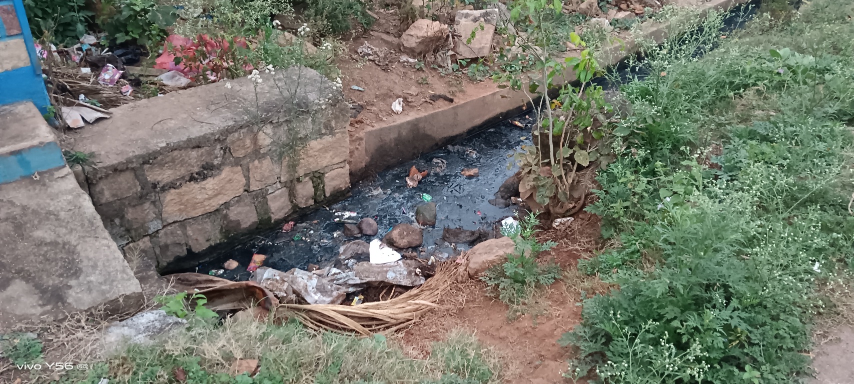 ಹೊನ್ನಾಳಿ ಪಟ್ಟಣದ ದುರ್ಗಿಗುಡಿ ಉತ್ತರಭಾಗದ ಕಾಳಿಕಾಂಬಾ ದೇವಸ್ಥಾನದ ಹಿಂಭಾಗದ ಚರಂಡಿಗಳಲ್ಲಿ ಕೊಳಚೆ ನೀರು ನಿಂತಿರುವುದು