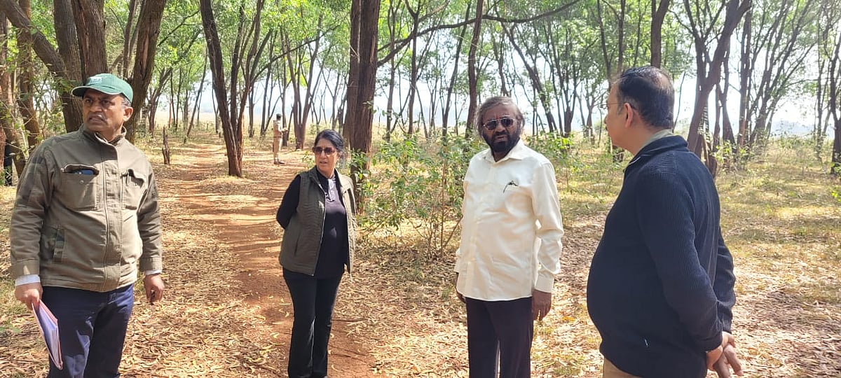 ಹೆಸರಘಟ್ಟ: ಅಕೇಶಿಯಾ ತೆರವಿಗೆ ಸೂಚನೆ