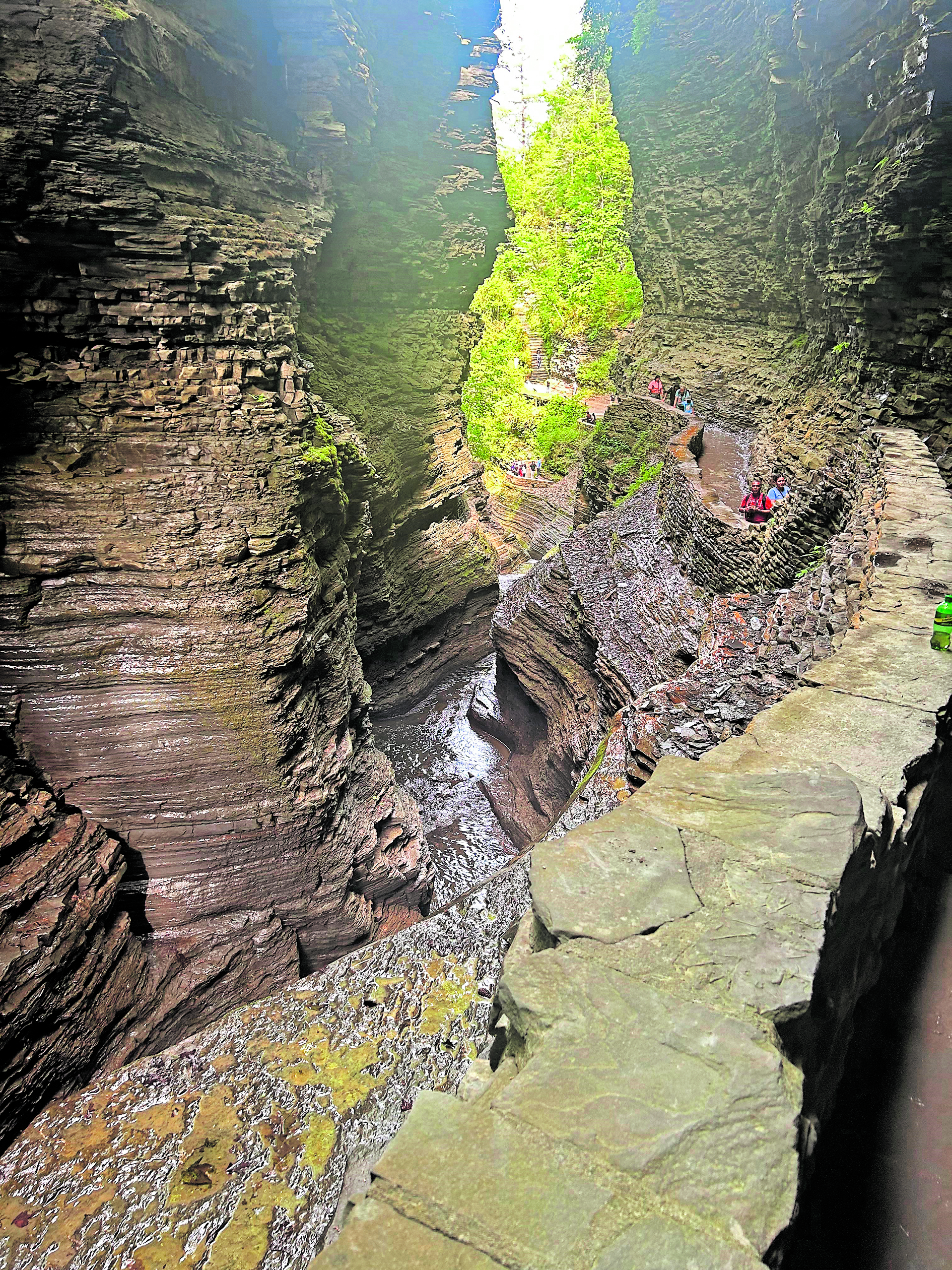 ಶಿಲಾವಿನ್ಯಾಸ 