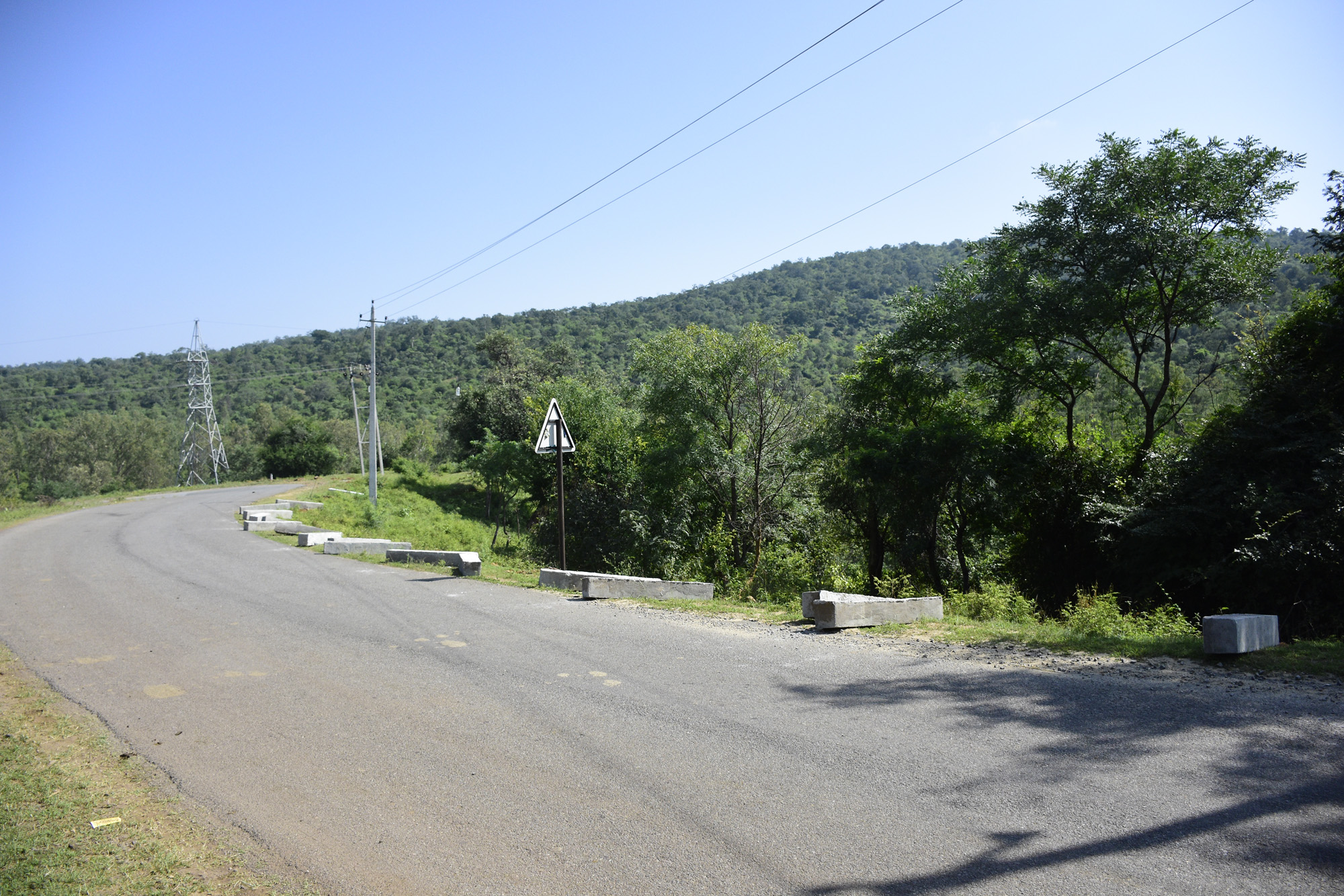 ಚಾಮರಾಜನಗರ ಜಿಲ್ಲೆಯ ಹನೂರು ತಾಲ್ಲೂಕಿನಲ್ಲಿರುವ ಬಿಆರ್‌ಟಿ ಹುಲಿ ಸಂರಕ್ಷಿತ ಪ್ರದೇಶ ಮತ್ತು ಮಲೆ ಮಹದೇಶ್ವರ ವನ್ಯಧಾಮದ ನಡುವೆ ಸಂಪರ್ಕ ಕಲ್ಪಿಸುವ ಎಡೆಯಾರಹಳ್ಳಿ–ದೊಡ್ಡ ಸಂಪಿಗೆ ಕಾರಿಡಾರ್‌ನ ನೋಟ. ಈ ಕಾರಿಡಾರ್‌ನಲ್ಲೇ ಅಂತರರಾಜ್ಯ ಹೆದ್ದಾರಿ ಹಾದು ಹೋಗುತ್ತದೆ ಪ್ರಜಾವಾಣಿ ಚಿತ್ರ ಚಿತ್ರ:ಬಿ.ಬಸವರಾಜು