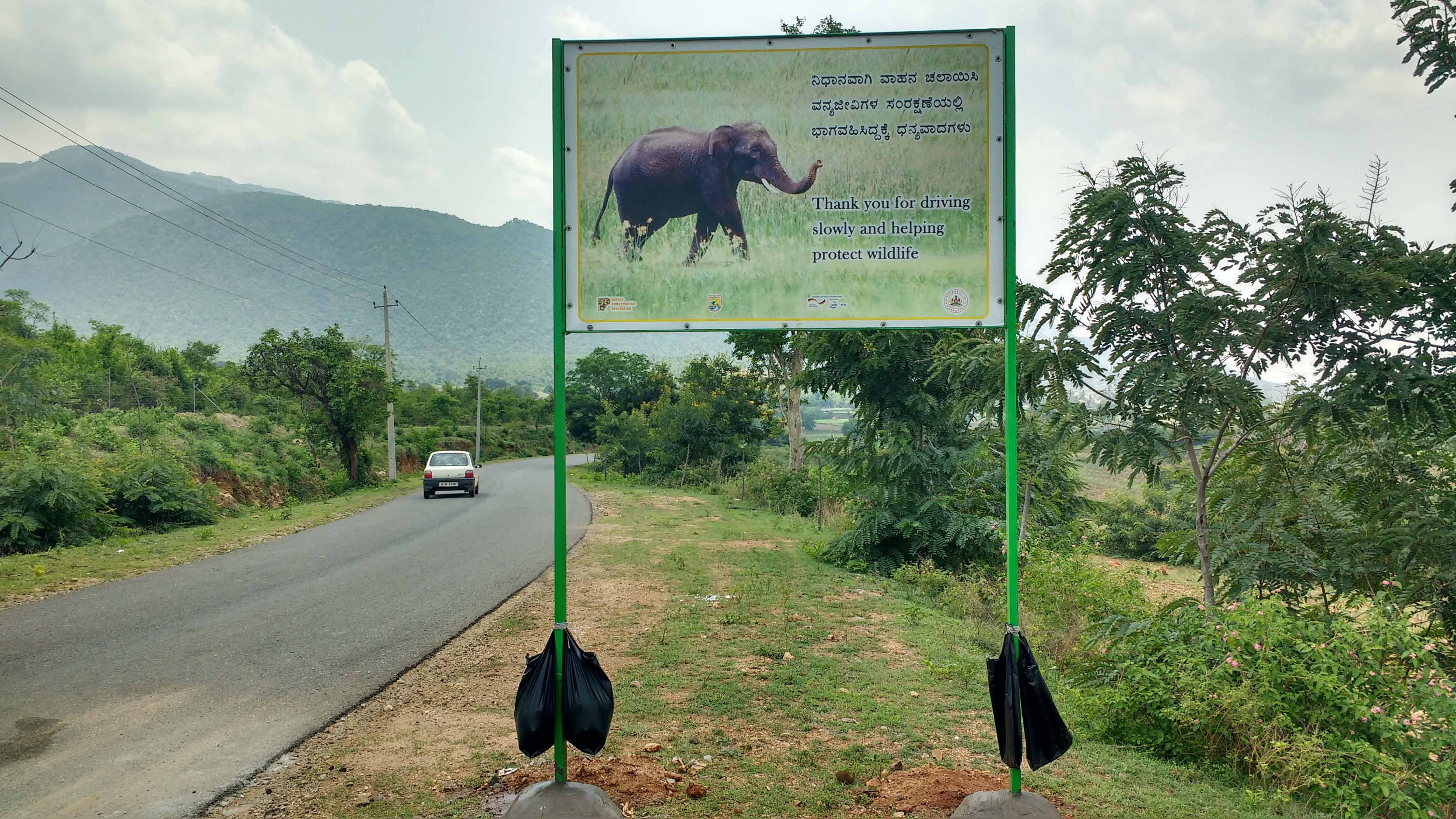 ಚಾಮರಾಜನಗರ ಜಿಲ್ಲೆಯ ಹನೂರು ತಾಲ್ಲೂಕಿನಲ್ಲಿರುವ ಬಿಆರ್‌ಟಿ ಹುಲಿ ಸಂರಕ್ಷಿತ ಪ್ರದೇಶ ಮತ್ತು ಮಲೆ ಮಹದೇಶ್ವರ ವನ್ಯಧಾಮದ ನಡುವೆ ಸಂಪರ್ಕ ಕಲ್ಪಿಸುವ ಎಡೆಯಾರಹಳ್ಳಿ–ದೊಡ್ಡ ಸಂಪಿಗೆ ಕಾರಿಡಾರ್‌ನ ನೋಟ. ಈ ಕಾರಿಡಾರ್‌ನಲ್ಲೇ ಅಂತರರಾಜ್ಯ ಹೆದ್ದಾರಿ ಹಾದು ಹೋಗುತ್ತದೆ  ಪ್ರಜಾವಾಣಿ ಚಿತ್ರ: ಬಿ.ಬಸವರಾಜು