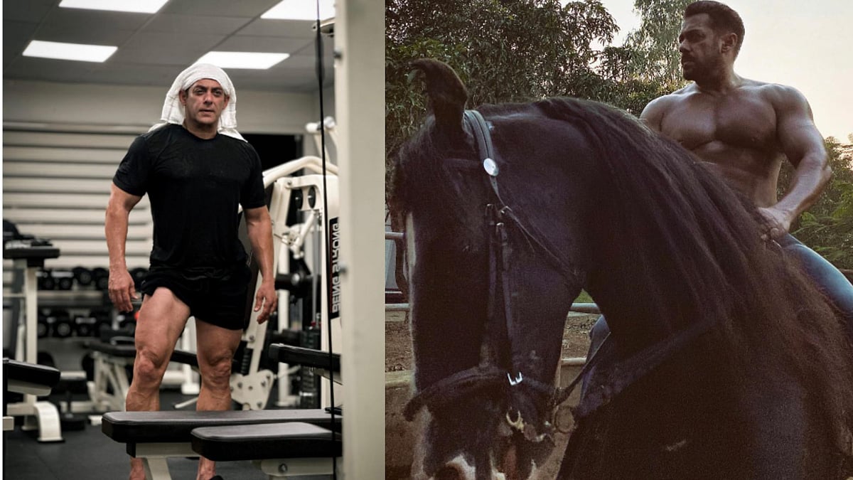 ಸಲ್ಮಾನ್ ಖಾನ್ ಐಷಾರಾಮಿ ಫಾರ್ಮ್‌ಹೌಸ್: ಕೃಷಿ, ಜಿಮ್, ಈಜುಕೊಳ ಸೇರಿ ಏನೇನಿವೆ?