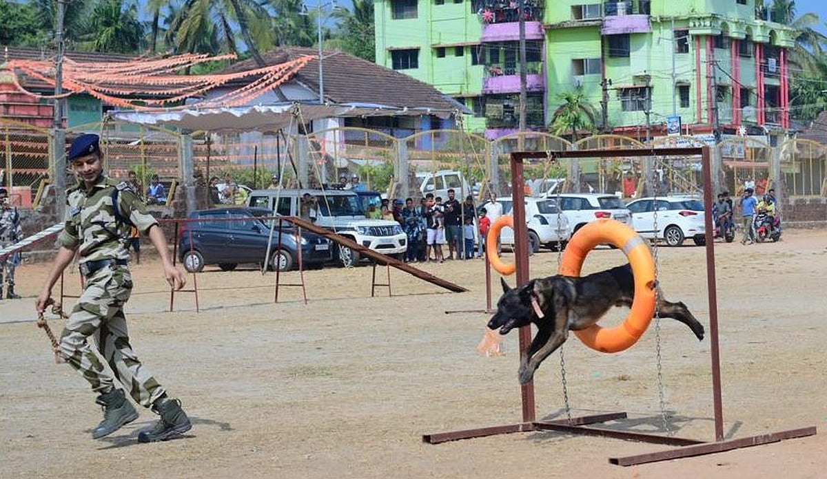 ಕಾರವಾರ: ಪ್ರೇಕ್ಷಕರ ಮೆಚ್ಚುಗೆ ಪಡೆದ ಶ್ವಾನಗಳು