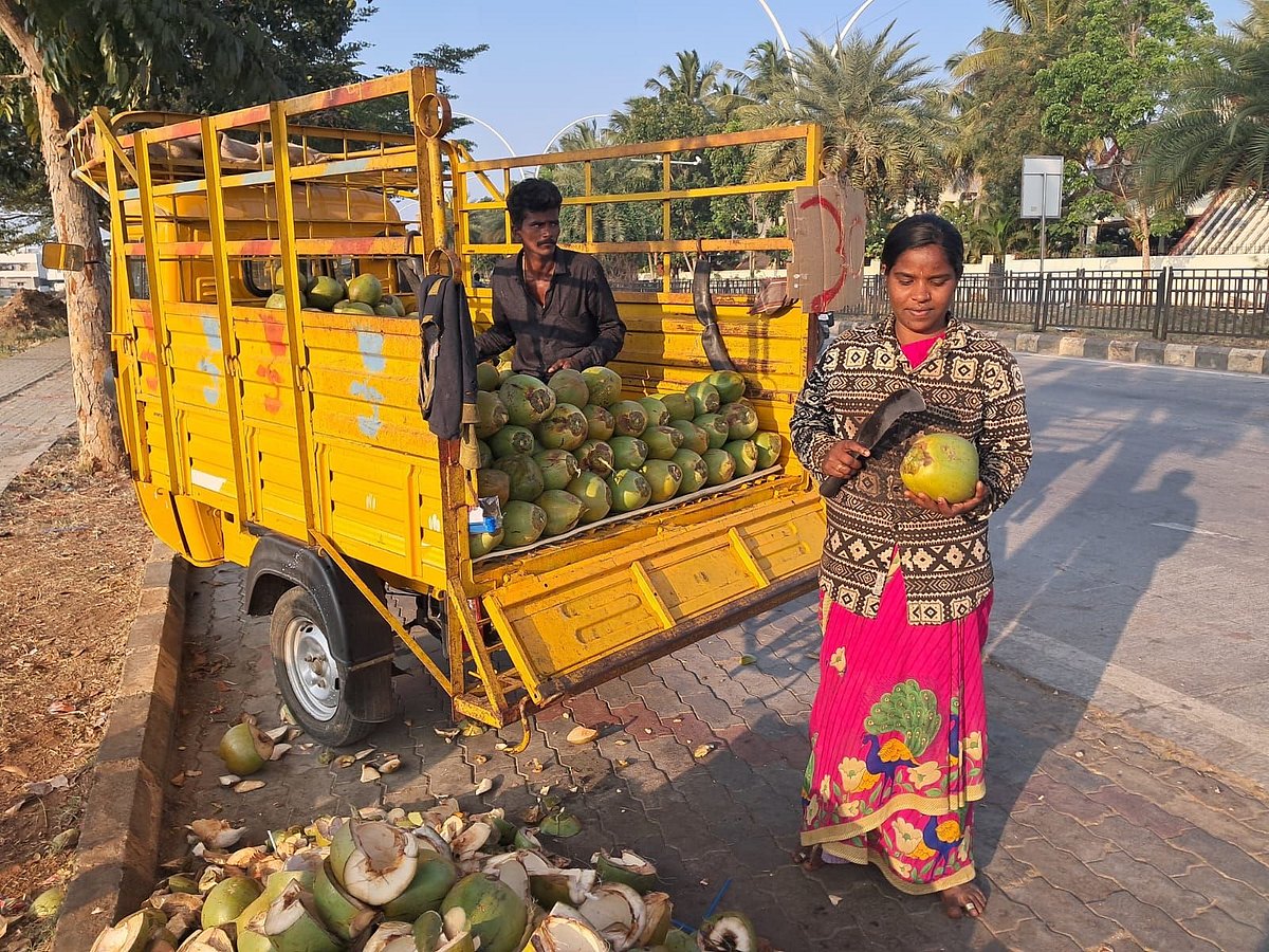 Cold Weather Impact | ಹೆಚ್ಚಿದ ಶೀತ: ಕುಸಿದ ಎಳನೀರು ದರ!