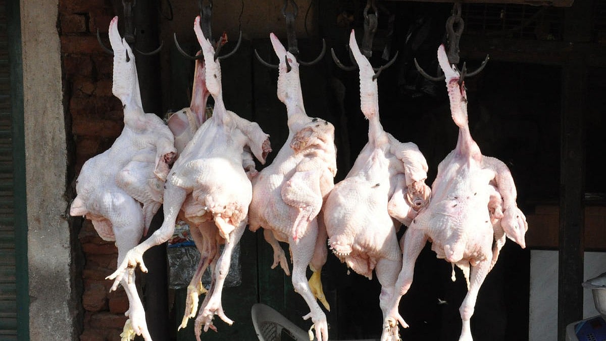 ಚರ್ಮ ಸಹಿತ ಕೋಳಿ ಮಾಂಸ ಆರೋಗ್ಯಕ್ಕೆ ಒಳ್ಳೆಯದಾ? ಚಿಕನ್ ತರುವ ಮುನ್ನ ಇದನ್ನು ಓದಿ