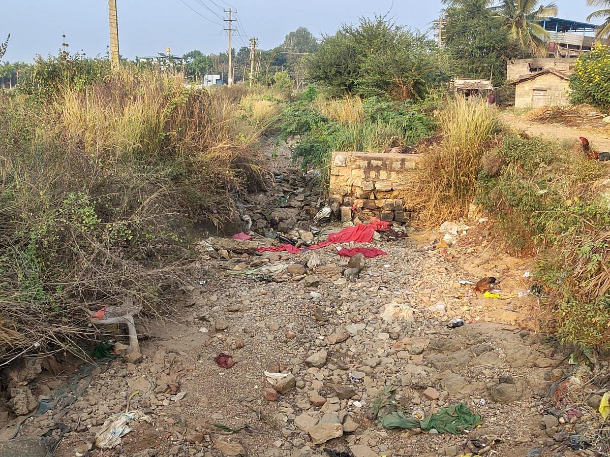 ಮಲೇಬೆನ್ನೂರು: ಭದ್ರಾ ನಾಲೆ ದುರಸ್ತಿ ಮಾಡಿ; ರೈತರ ಆಗ್ರಹ