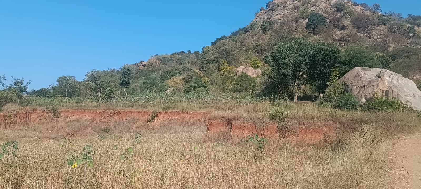 ಅಕ್ರಮವಾಗಿ ಒತ್ತುವರಿ