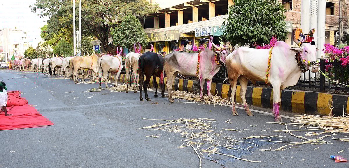 ವರ್ಷದ ಹಿನ್ನೋಟ | ಕಲಬುರಗಿ: ಪ್ರತಿಭಟನೆಗಳ ಕಾವು, ಟೀಕಾಸ್ತ್ರಗಳ ನೋವು