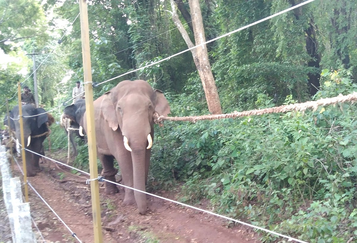 ಚಿಕ್ಕಮಗಳೂರು | ವರ್ಷವಿಡೀ ಮಳೆ: ಗುಂಡಿಗಳ ಪಯಣ ಉಳಿಸಿ ಹೋದ 2025