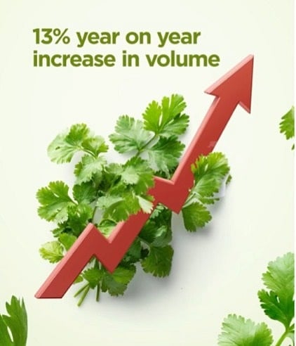 ಕೆಐಎಬಿ: ವಿಮಾನದಲ್ಲಿ ಕೊತ್ತಂಬರಿ ಸಾಗಣೆ ಹೆಚ್ಚಳ