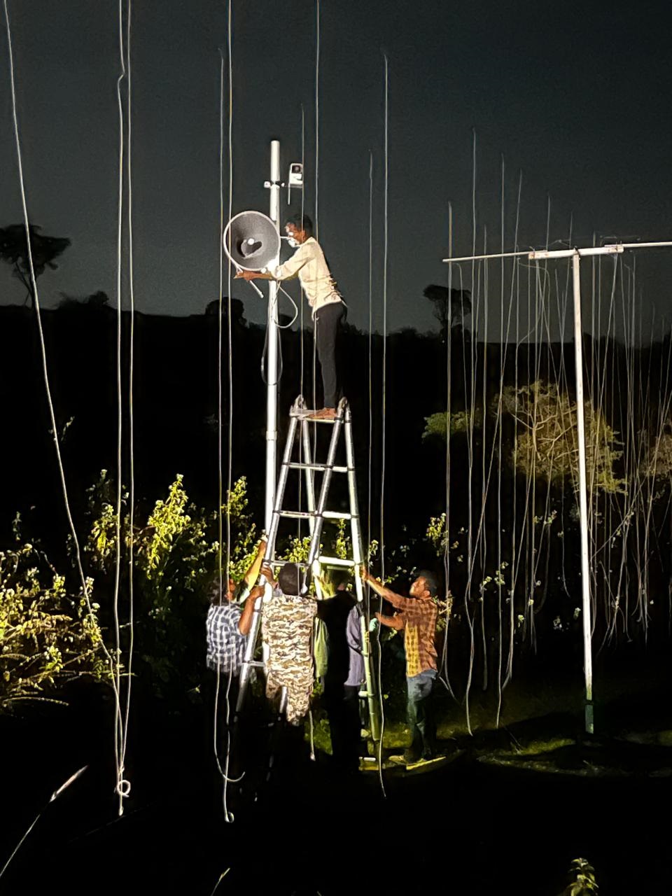 ಕಾಡಂಚಿನಲ್ಲಿ ಎಐ ಕ್ಯಾಮೆರಾ– ಸ್ಪೀಕರ್‌ ಅಳವಡಿಸುತ್ತಿರುವ ಅರಣ್ಯ ಇಲಾಖೆ ಸಿಬ್ಬಂದಿ 