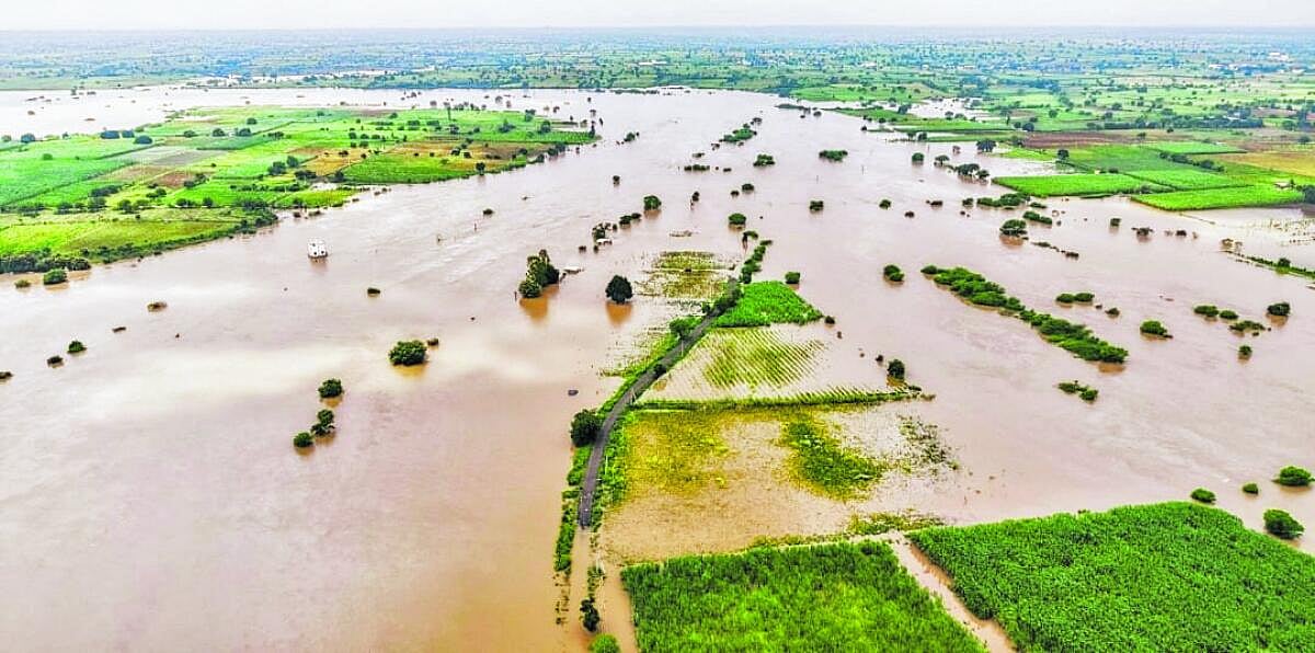 2025 ಹಿಂದಣ ಹೆಜ್ಜೆ | ಬೀದರ್: ಮಳೆ ವರ್ಷ; ರೈತರಿಗೆ ಬರೆ ಎಳೆದ ಅತಿವೃಷ್ಟಿ