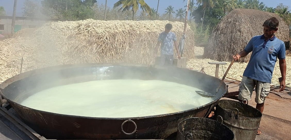 ಬೆಳಗಾವಿ: ಸಾವಯವ ಬೆಲ್ಲ ಅಚ್ಚುಮೆಚ್ಚು