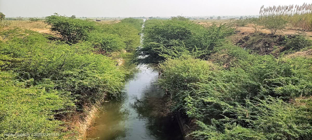 ಮುದ್ದೇಬಿಹಾಳ | ಹೊಲಕ್ಕೆ ಕಾಲುವೆ ನೀರು ಮರೀಚಿಕೆ