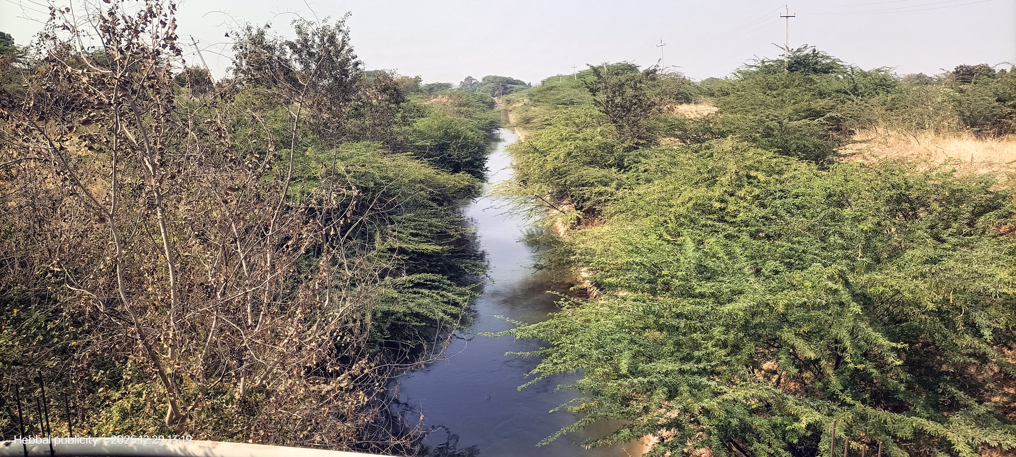 ಮುದ್ದೇಬಿಹಾಳ ತಾಲ್ಲೂಕು ಯರಝರಿ ಭಾಗದಲ್ಲಿ ಬರುವ ಕೆಬಿಜೆಎನ್‌ಎಲ್ ಎಡದಂಡೆ ಕಾಲುವೆ ಅಕ್ಕಪಕ್ಕದಲ್ಲಿ ವ್ಯಾಪಕವಾಗಿ ಮುಳ್ಳುಕಂಟಿಗಳು ಬೆಳೆದಿರುವುದು.
