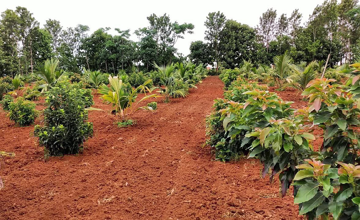ಸಮಗ್ರ ಕೃಷಿಗೆ ಆಧುನಿಕತೆಯ ಸ್ಪರ್ಶ
