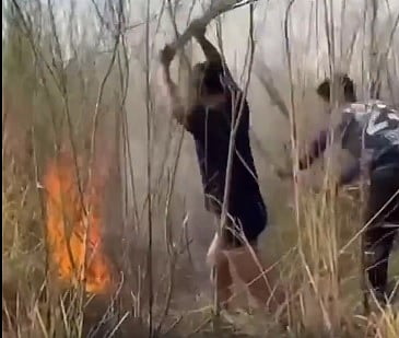 ‘ಪದ್ಮಶ್ರೀ’ ಪುರಸ್ಕೃತ ಪೆಯಾಂಗ್ ನಿರ್ಮಿಸಿದ್ದ ಅರಣ್ಯಕ್ಕೆ ದುಷ್ಕರ್ಮಿಗಳಿಂದ ಬೆಂಕಿ