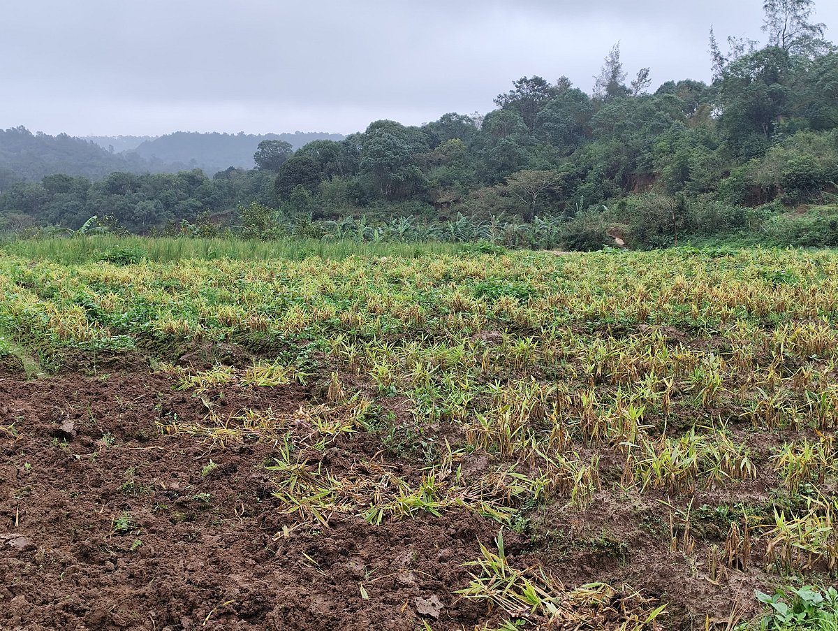 ಕೊಡಗು ಜಿಲ್ಲೆಯ ರೈತರಲ್ಲಿದೆ ಹಲವು ನಿರೀಕ್ಷೆ; ಫಲಿಸುವುದೆಷ್ಟೋ?
