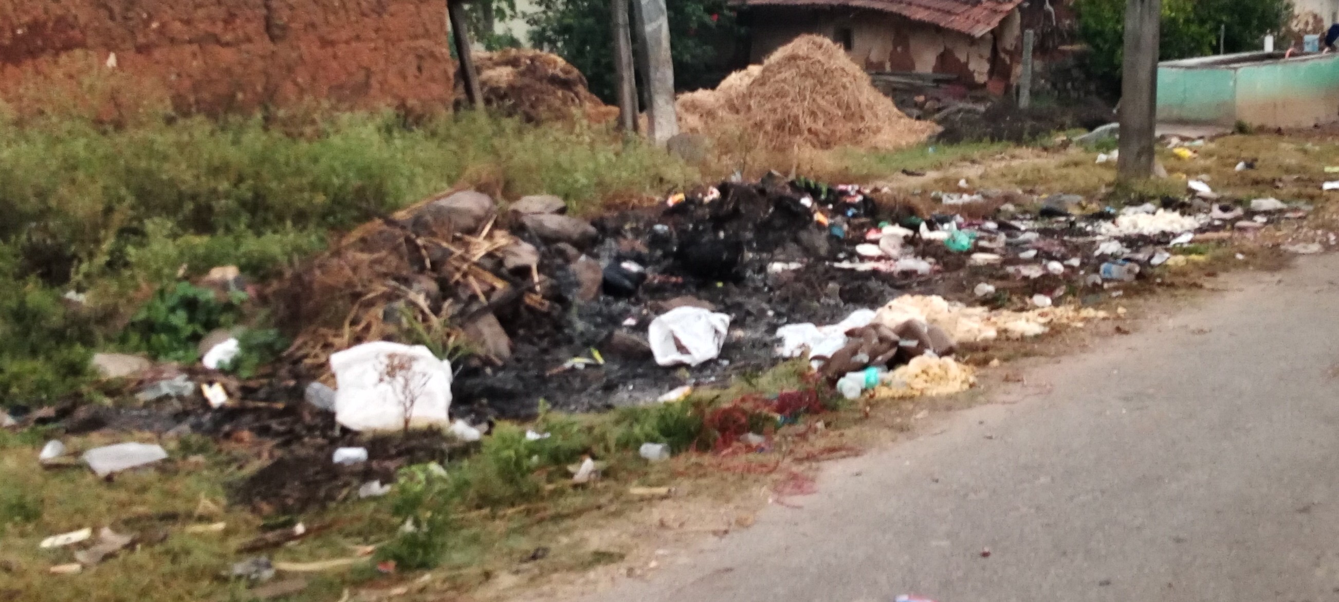 ಹಳೇಬೀಡಿನ ಬಸ್ತಿಹಳ್ಳಿಯ ಜೈನ ಬಸದಿ ಪ್ರವೇಶ ದ್ವಾರದ ಬಳಿ ಬಿದ್ದಿರುವ ತ್ಯಾಜ್ಯ 