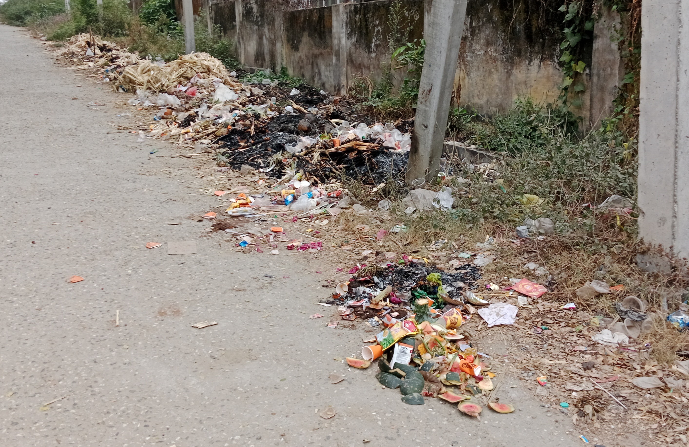 ಹಳೇಬೀಡಿನ ನಗರೇಶ್ವರ ಸ್ಮಾರಕ ಸಂಕೀರ್ಣ ಹಾಗೂ ಕೆಪಿಎಸ್ ಶಾಲೆಗೆ ಹೋಗುವ ದಾರಿ ಬದಿಯಲ್ಲಿ ಸಂಗ್ರಹವಾಗಿರುವ ಕಬ್ಬಿನ ಹಾಲು ಹಾಗೂ ಕಾಫಿ ಚಹಾ ಅಂಗಡಿಗಳ ತ್ಯಾಜ್ಯ  