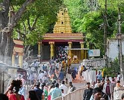 ಚಾಮುಂಡಿ ಬೆಟ್ಟದಲ್ಲಿ ಭಕ್ತರಿಗೆ ವ್ಯವಸ್ಥೆ ಮಾಡಿ:ಜಿಲ್ಲಾಧಿಕಾರಿ ಜಿ.ಲಕ್ಷ್ಮಿಕಾಂತ್