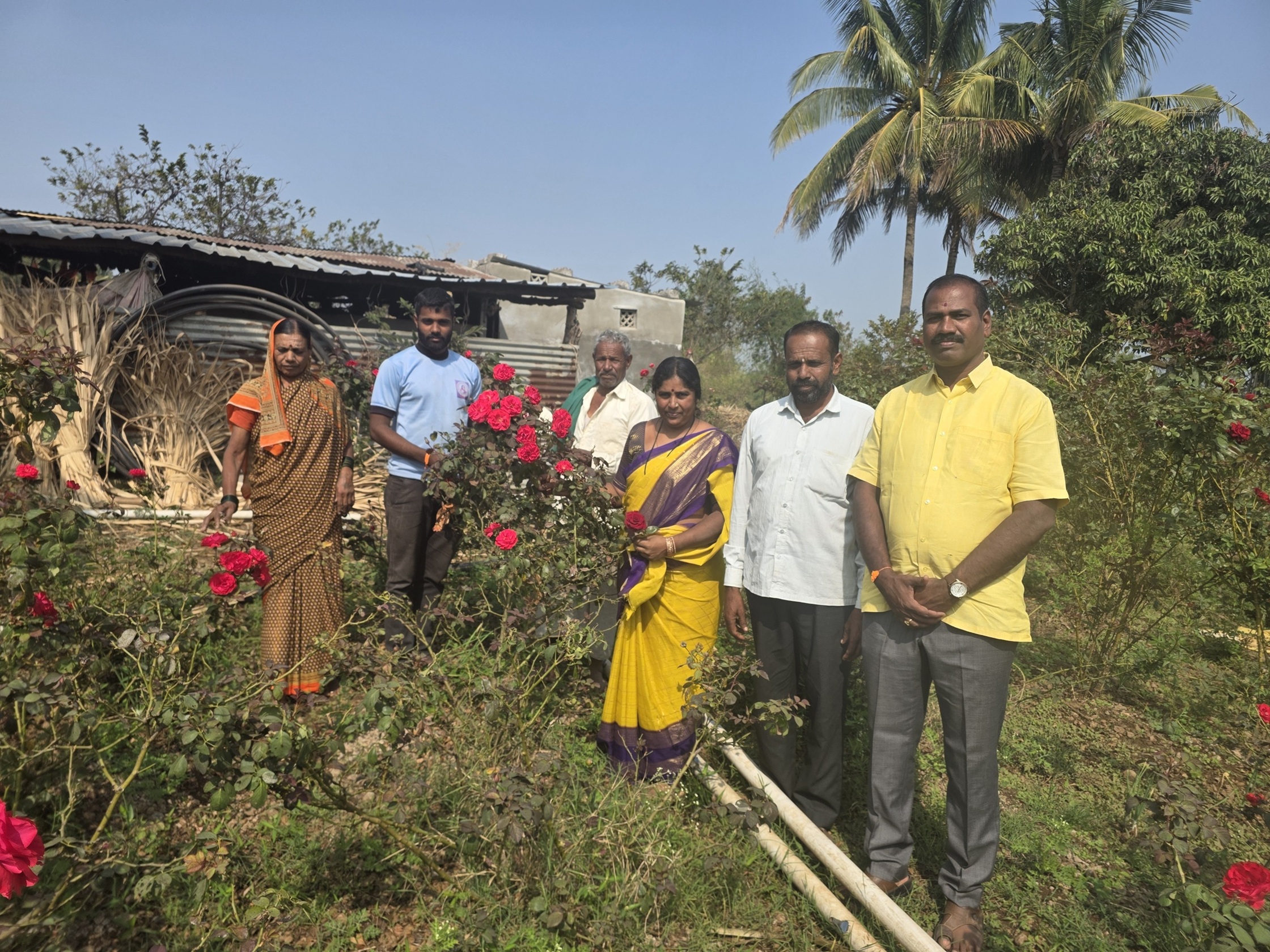 ಮುಧೋಳ ತಾಲ್ಲೂಕು ನಾಗರಾಳ ಗ್ರಾಮದ ಸುಮಿತ್ರಾ ಶ್ಯಾಂಡಗಿ ಕುಟುಂಬ ಬೆಳೆದಿರುವ ಗುಲಾಬಿ ಹೂಗಳು