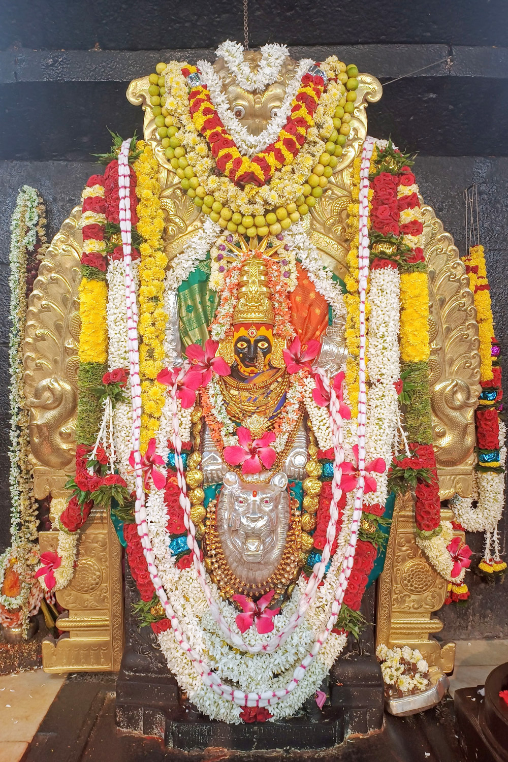 ಗರ್ಭಗುಡಿಯಲ್ಲಿ ಸಿಂಹಾರೂಢಳಾಗಿರುವ ಬನಶಂಕರಿದೇವಿಯ ಮೂರ್ತಿ