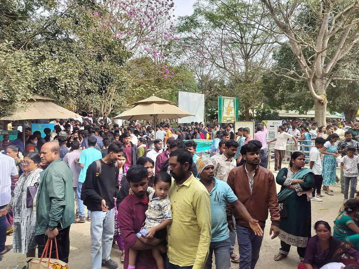 ಬನ್ನೇರುಘಟ್ಟ ಉದ್ಯಾನದಲ್ಲಿ ಪ್ರವಾಸಿಗರ ಕಲರವ