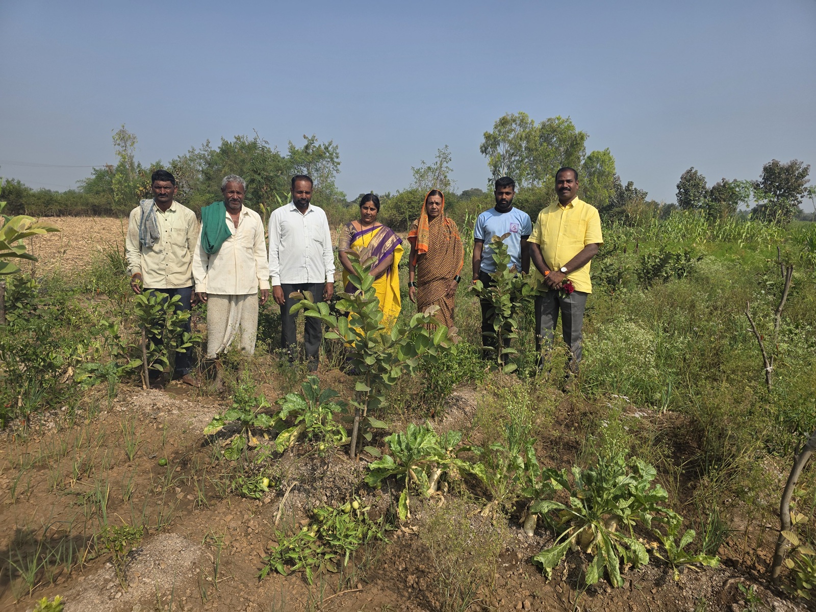 ಮುಧೋಳ ತಾಲ್ಲೂಕು ನಾಗರಾಳ ಗ್ರಾಮದ ಸುಮಿತ್ರಾ ಶ್ಯಾಂಡಗಿ ಕುಟುಂಬ ಬೆಳೆದಿರುವ ಥೈವಾನ್ ಪಿಂಕ್ ತಳಿಯ ಪೇರಲ ಹಣ್ಣು ಗಿಡಗಳು