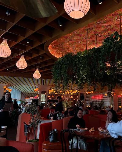 ವಂದಿತಾ ಅವರು ಹಂಚಿಕೊಂಡ ಚಿತ್ರಗಳಿಗೆ  ಅಭಿಮಾನಿಗಳು ಮೆಚ್ಚುಗೆ ವ್ಯಕ್ತಪಡಿಸಿದ್ದಾರೆ.