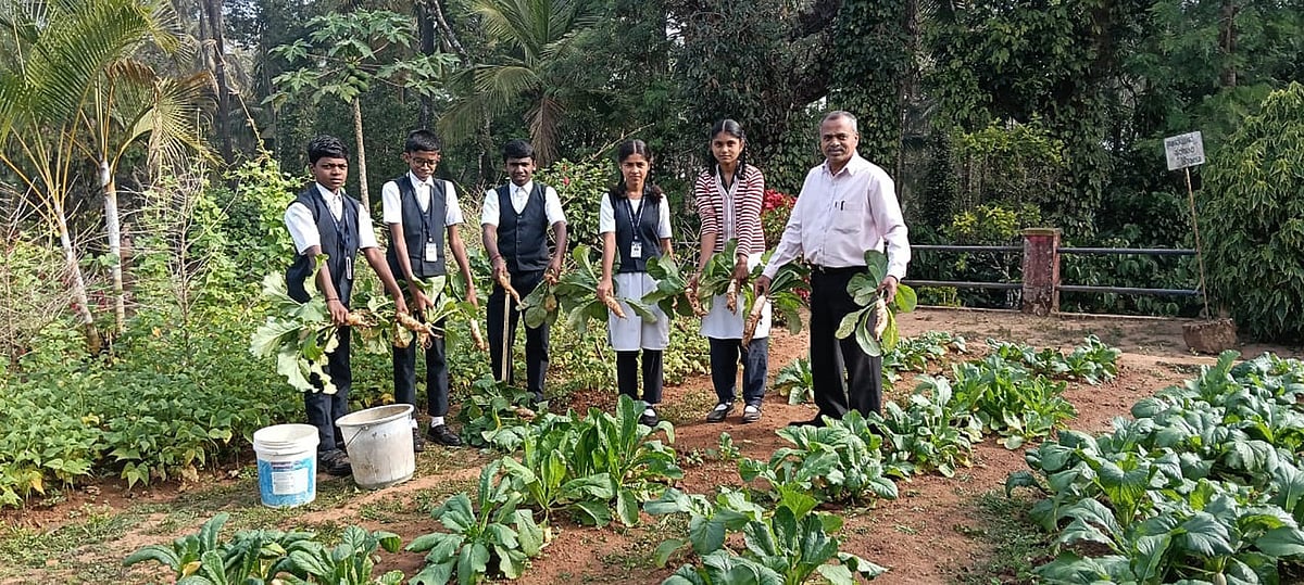 ಕೊಡಗು: ಶಾಲೆಯಲ್ಲಿ ನಳನಳಿಸುತ್ತಿದೆ ತರಕಾರಿ ತೋಟ
