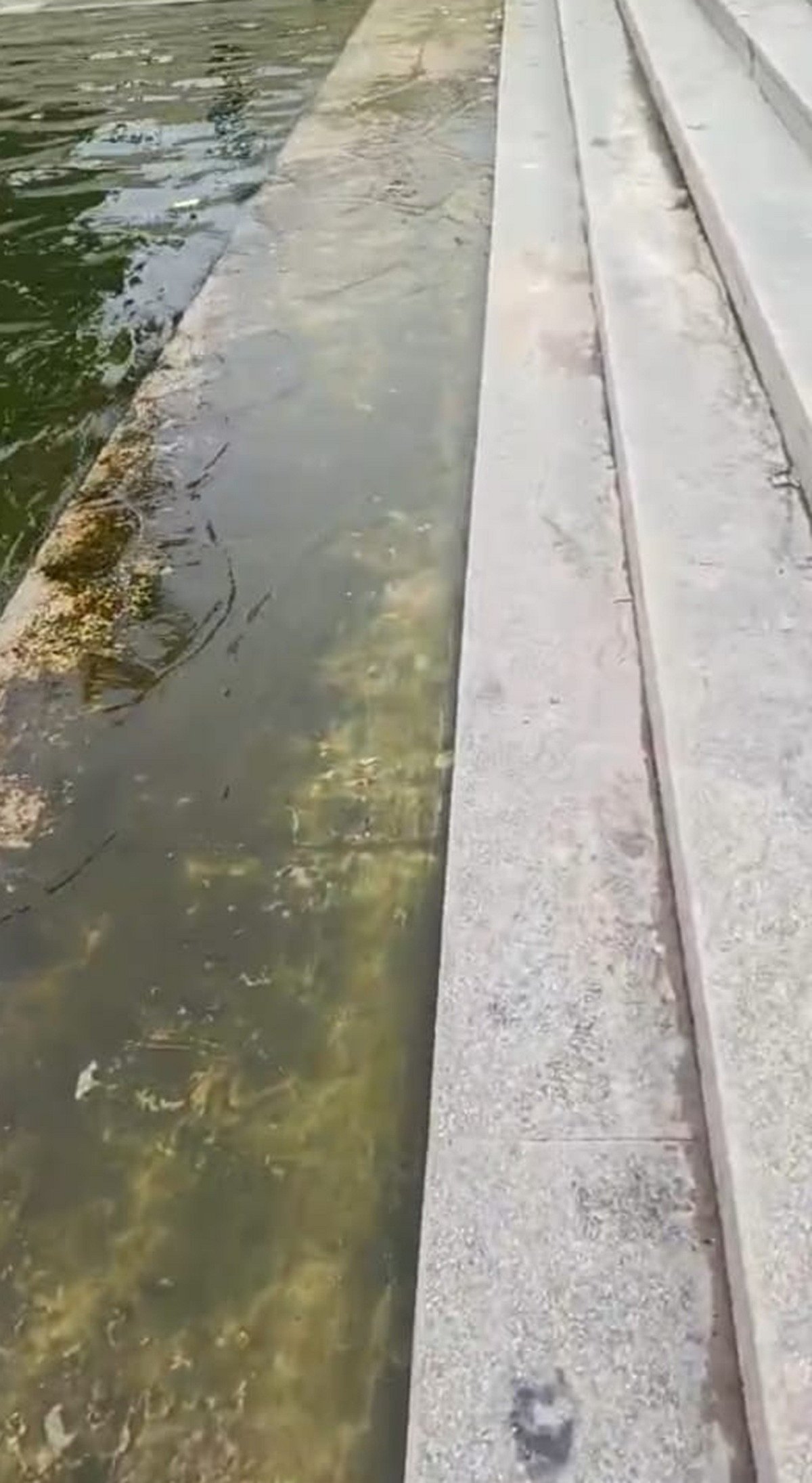 ಪಾಚಿಗಟ್ಟಿದ ಕಲ್ಯಾಣಿ: ಭಕ್ತರ ಪ್ರಾಣಕ್ಕೆ ಕುತ್ತು