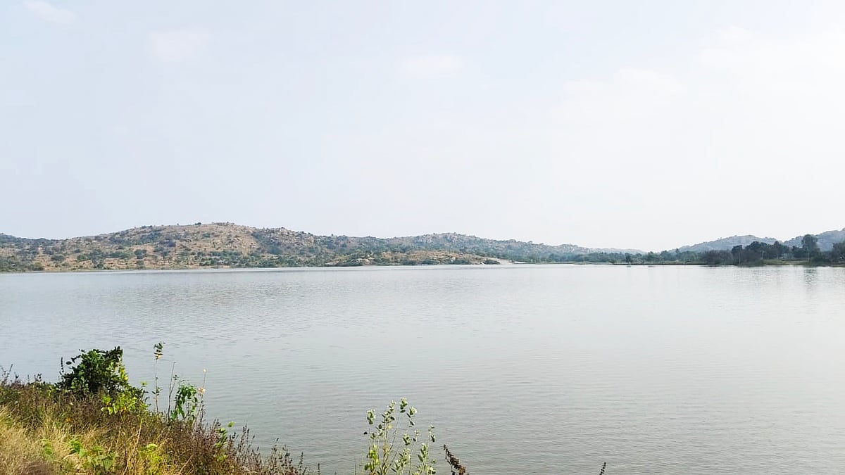 ಮಧುಗಿರಿ ತಾಲ್ಲೂಕಿನ ಬಹುತೇಕ ಕೆರೆಗಳಲ್ಲಿ ಹೂಳು: ನೀರು ಸಂಗ್ರಹ ಕುಸಿತ