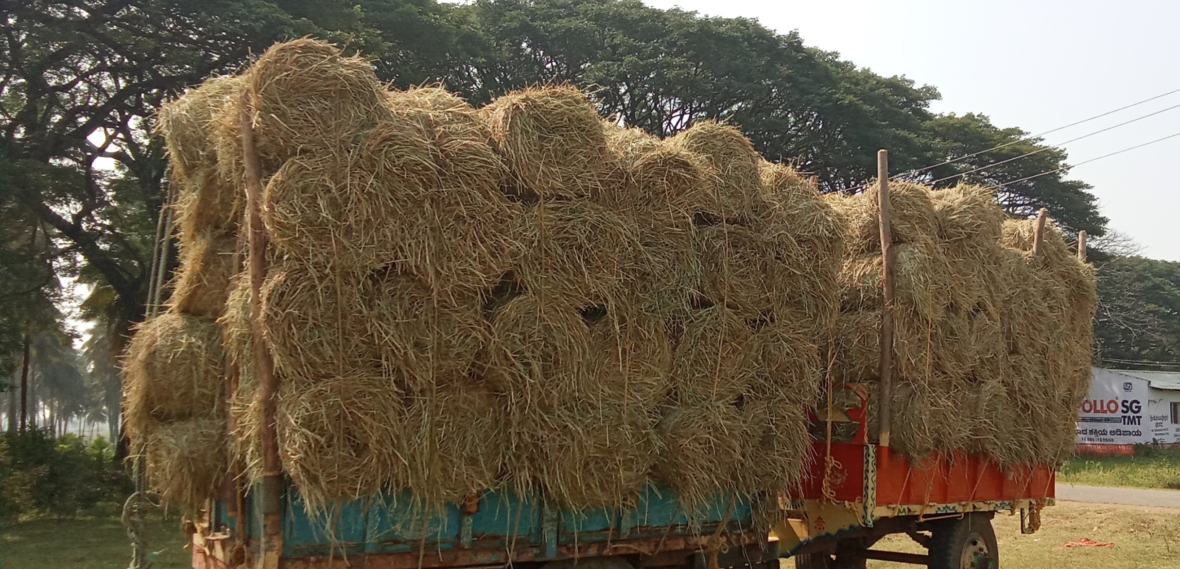 ಹರಿಹರ ತಾಲ್ಲೂಕಿನ ಹೊಳೆಸಿರಿಗೆರೆ ಗ್ರಾಮದಲ್ಲಿ ಭತ್ತದ ಹುಲ್ಲಿನ ಪೆಂಡಿಯ ಲೋಡ್ ಮಾಡುತ್ತಿರುವುದು