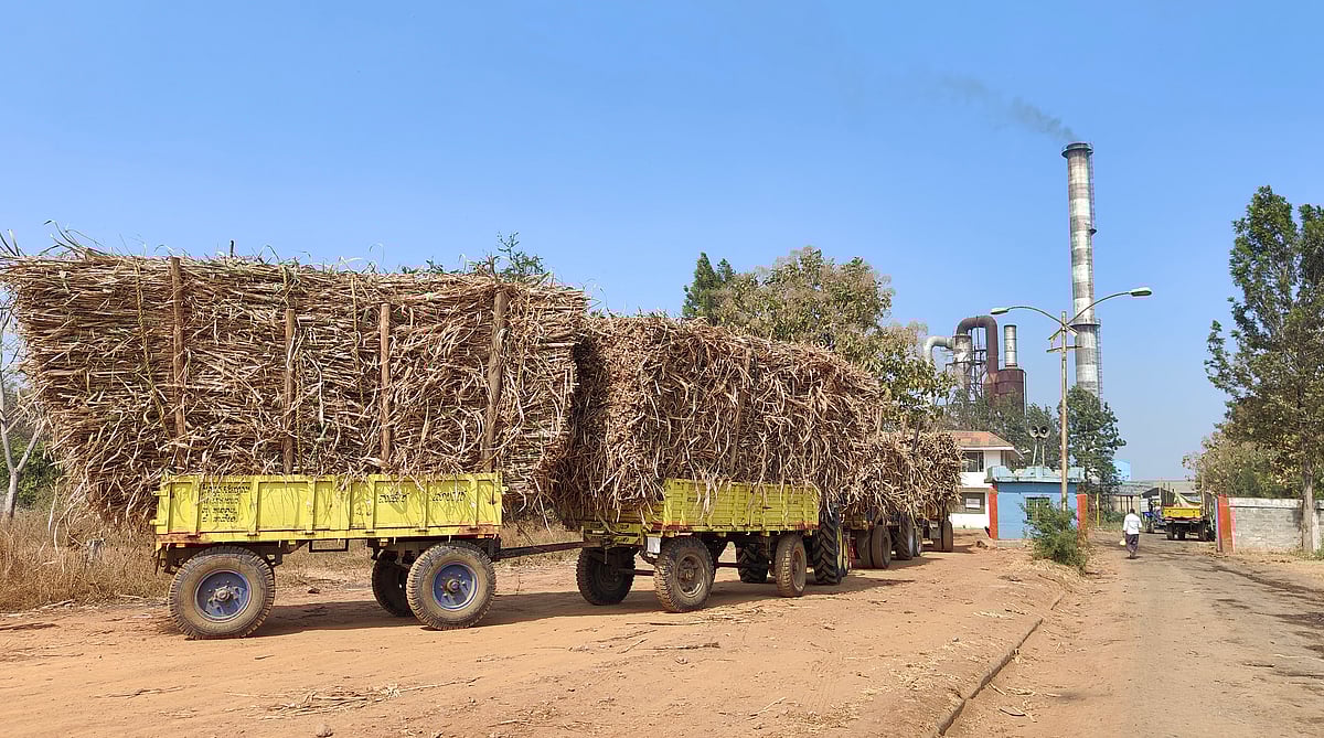 ಹಾವೇರಿ| ದರ ಕುಸಿತ; ಕಾರ್ಖಾನೆಗೆ ‘ಕಹಿ’ ತಂದ ‘ಸಕ್ಕರೆ’